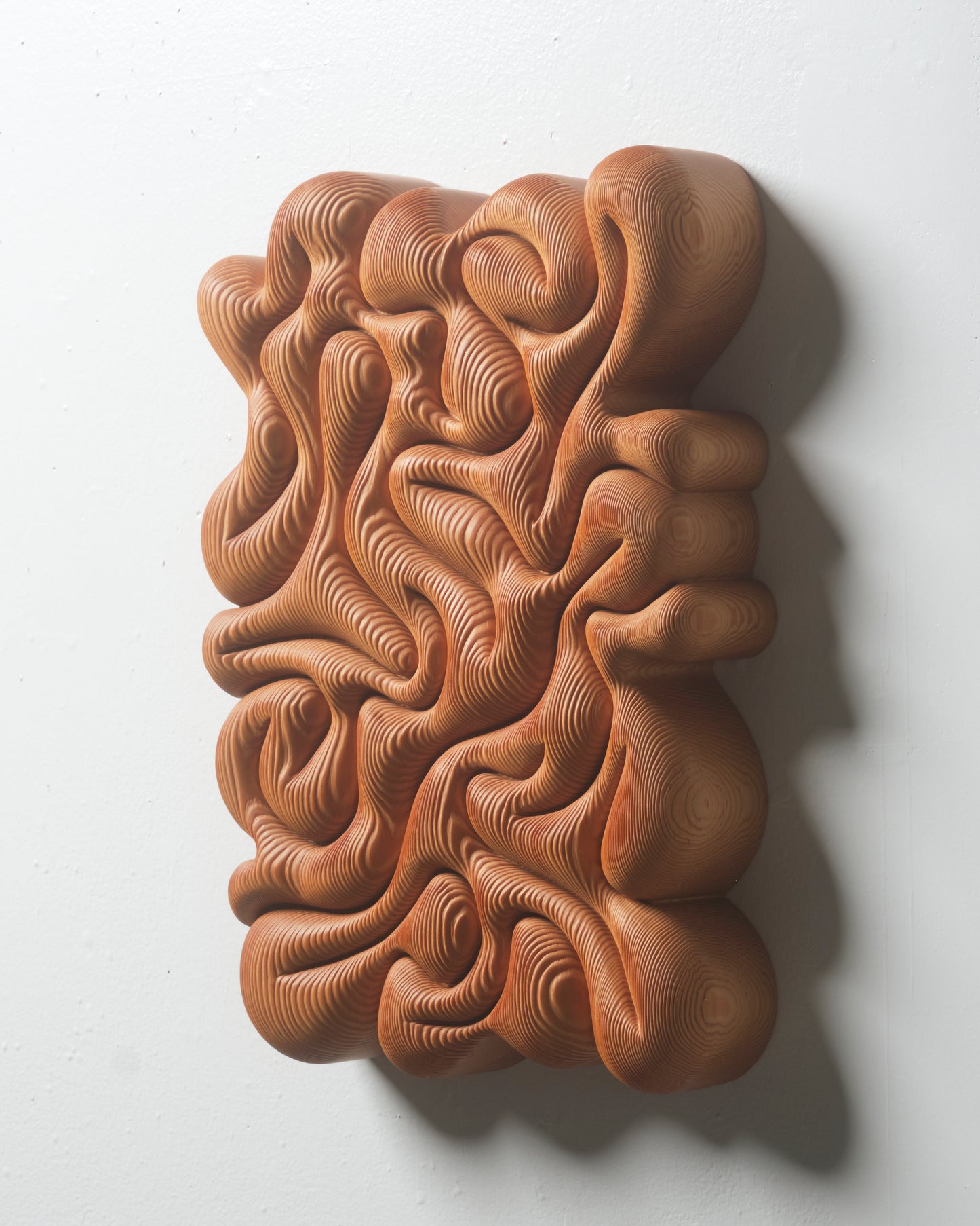 Brain