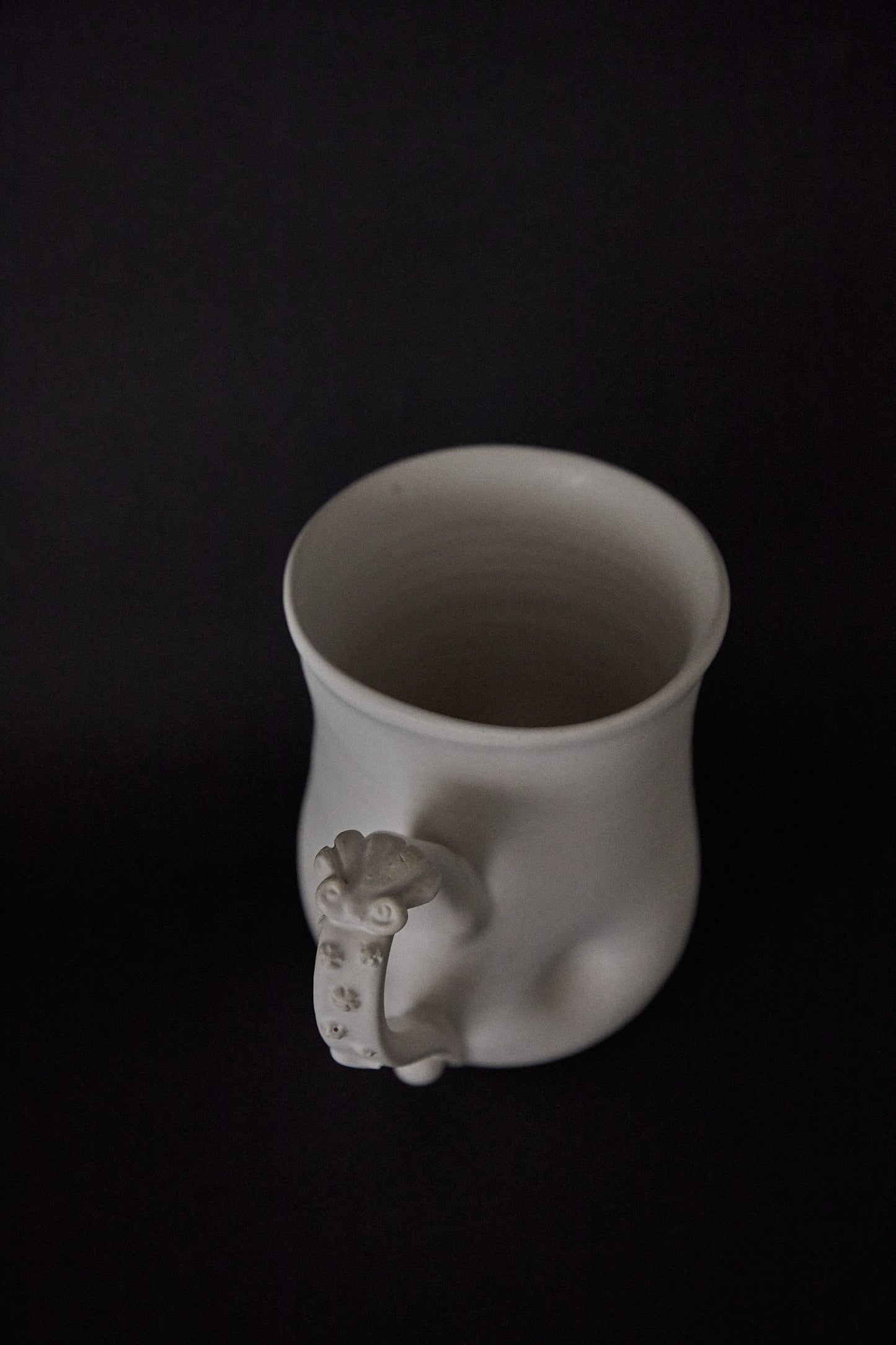 Calcirinidae Mug