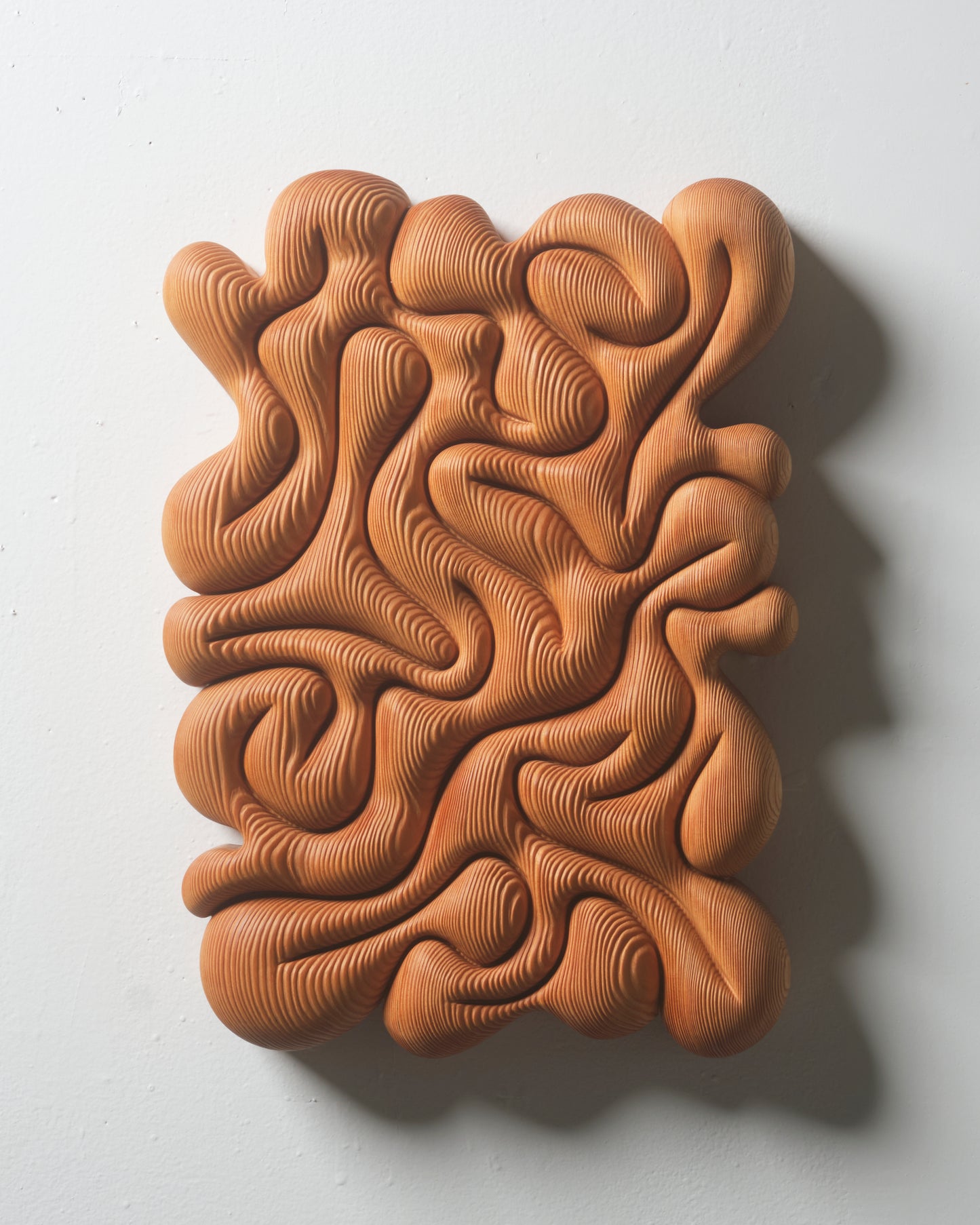 Brain