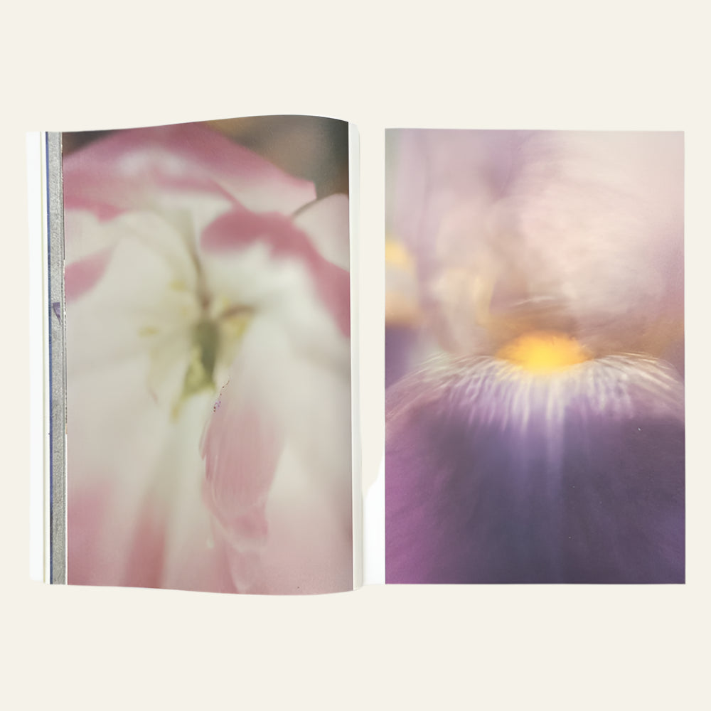 DRAIN, Issue 3