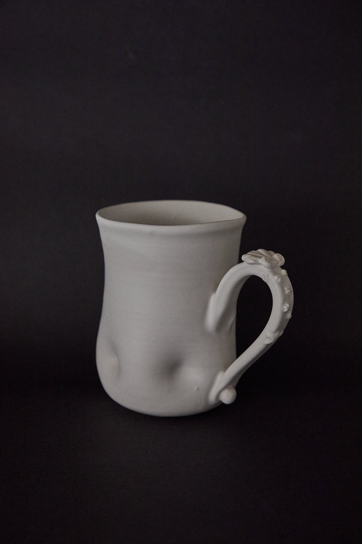Calcirinidae Mug
