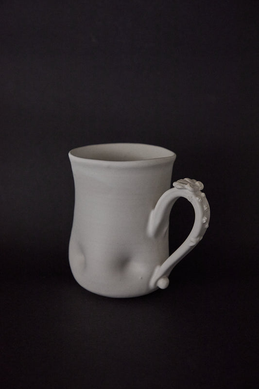 Calcirinidae Mug