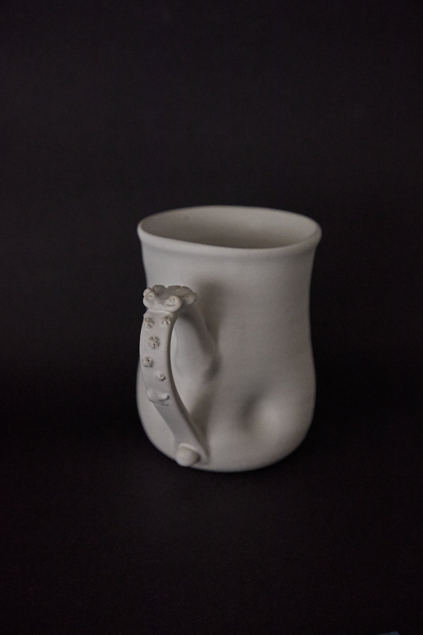 Calcirinidae Mug