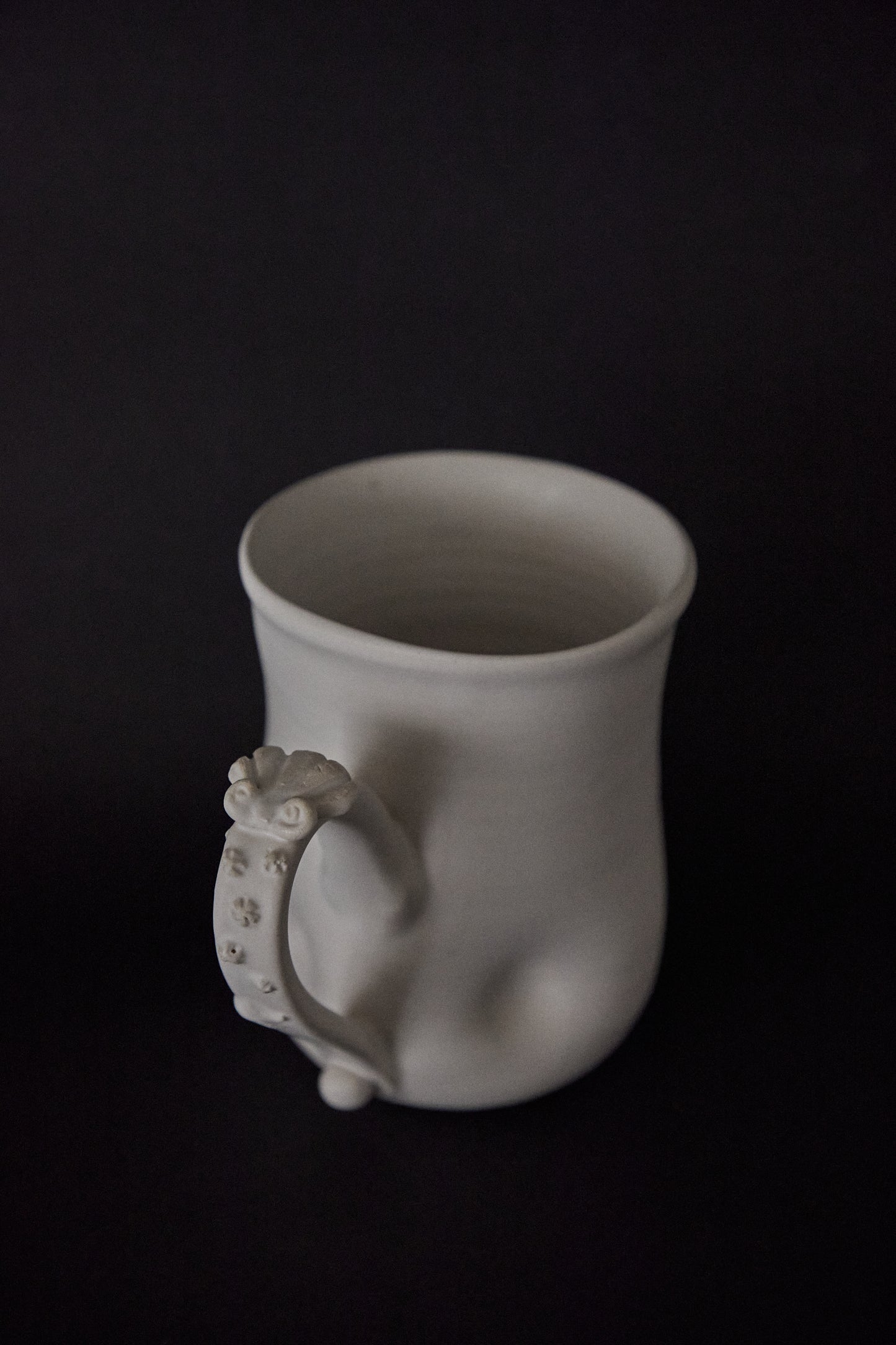 Calcirinidae Mug