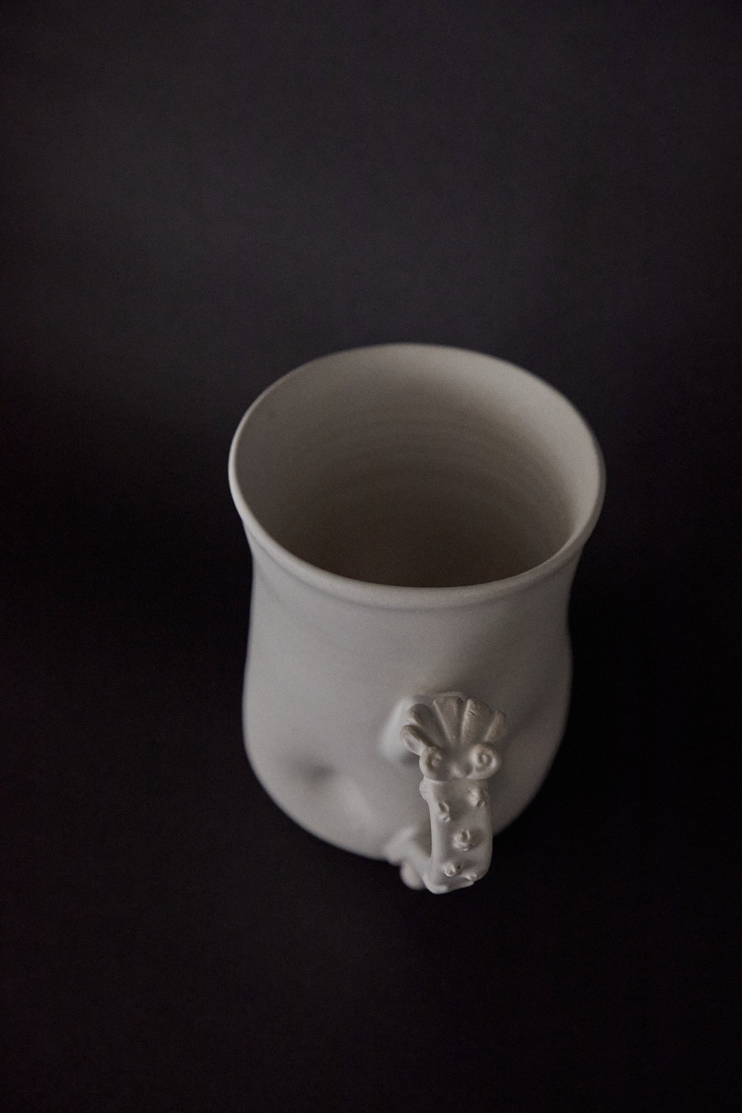 Calcirinidae Mug