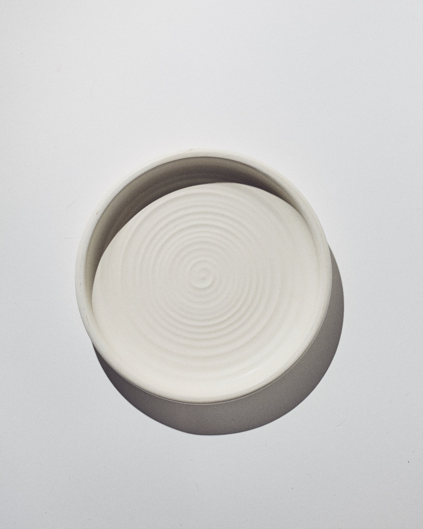 Plate 10 1/2"